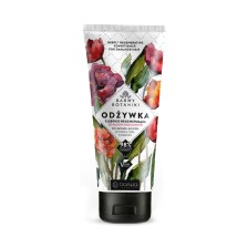 BARWA BARWY BOTANIKI ODŻYWKA GŁĘBOKO REGENERUJĄCA DO WŁOSÓW ZNISZCZONYCH 180 ML BARWA BARWY BOTANIKI ODŻYWKA GŁĘBOKO REGENERUJĄCA DO WŁOSÓW ZNISZCZONYCH 180 ML