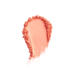 PAESE MINERALS Mineralny róż 6g 300W PEACH PAESE MINERALS Mineralny róż 6g 300W PEACH