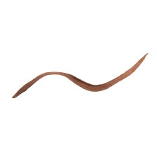 PAESE EYEGASM EYELINER Z ODŻYWKĄ 02 BROWN 4ml PAESE EYEGASM EYELINER Z ODŻYWKĄ 02 BROWN 4ml