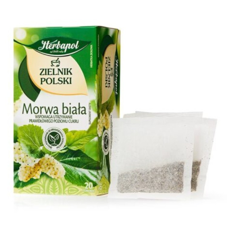 Zielnik Polski - Morwa biała Zielnik Polski - Morwa biała