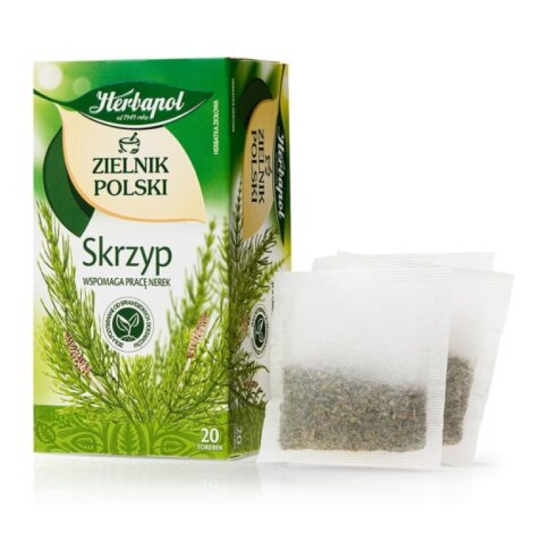 Zielnik Polski - Skrzyp Zielnik Polski - Skrzyp