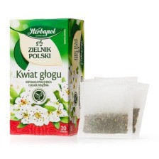 Zielnik Polski - Kwiat głogu